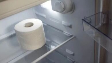 Photo of If you find a roll of toilet paper in your fridge, here’s what it means