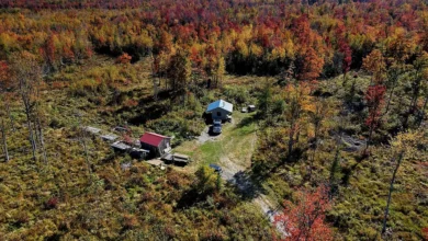 Photo of HOMESTEAD ON 188 ACRES PREFECT FOR A NEW FARM OR CAMP. $249,900