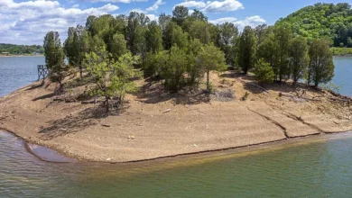 Photo of OWN YOUR OWN PRIVATE ISLAND-ON BEAUTIFUL DOUGLAS LAKE. $250,000