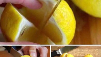 Photo of Why keeping a lemon in your bedroom is a great idea