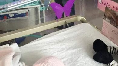 Photo of If you see a purple butterfly sticker near a newborn, you need to know what it means