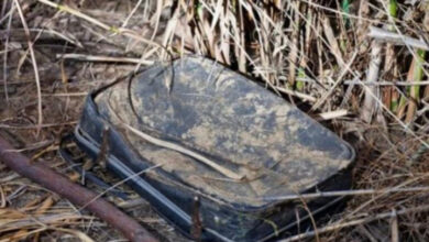 Photo of This woman came across an old, filthy luggage in a bush
