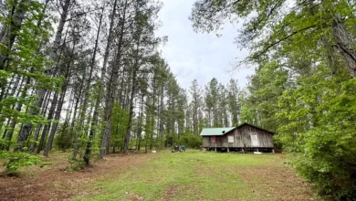 Photo of THIS HUNTING CAMP &AMP $180,000