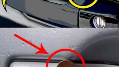 Photo of Here’s what it means if you spot a penny lodged in your car door handle