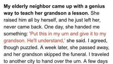Photo of 5 Shocking Stories About Grandparents Who Turned Out to Be Smarter, Teaching Everyone a Lesson