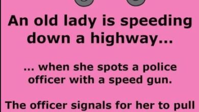 Photo of A cop pulls over an old lady for speeding.