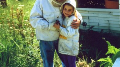 Photo of I Was Upset That My Grandfather Only Left Me an Old Apiary until I Looked into the Beehives — Story of the Day