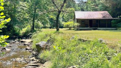 Photo of Serene 12-Acre Property with Creek Frontage in Tallmansville, West Virginia