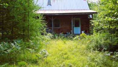 Photo of 174-Acre Property with Off-Grid Log Cabin in Owls Head, New York