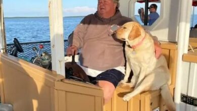 Photo of Beloved Reality TV star dies with beloved dog at his side in horror boating accident